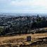  Terreno (Parcela) en venta en Chile, Viña del Mar, Valparaíso, Valparaíso, Chile