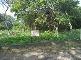  Land for sale in San Jose De Cucuta, Norte De Santander, San Jose De Cucuta