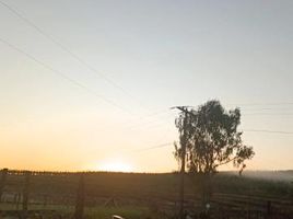  Terreno (Parcela) en venta en Araucanía, Traiguen, Malleco, Araucanía
