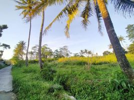  Tanah for sale in Ngemplak, Sleman, Ngemplak