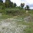  Land for sale in Carcar City, Cebu, Carcar City