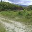  Land for sale in Carcar City, Cebu, Carcar City