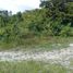  Land for sale in Carcar City, Cebu, Carcar City