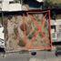  Terreno (Parcela) en venta en Torreon, Coahuila, Torreon