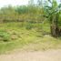  Land for sale in Cipeundeuy, West Jawa, Cipeundeuy