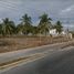 Land for sale in San Blas Nayarit, San Blas