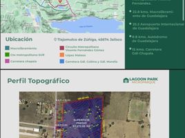  Grundstück zu verkaufen in Tlajomulco De Zuniga, Jalisco, Tlajomulco De Zuniga