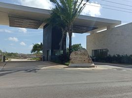  Grundstück zu verkaufen in Yaxkukul, Yucatan, Yaxkukul, Yucatan
