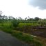 Terrain à vendre à Pakem, Yogyakarta, Pakem, Sleman