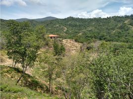  Land for sale in San Jeronimo, Antioquia, San Jeronimo