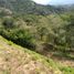  Terrain for sale in San Jeronimo, Antioquia, San Jeronimo