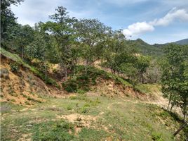  Terrain for sale in San Jeronimo, Antioquia, San Jeronimo