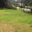  Land for sale in Envigado, Antioquia, Envigado