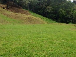  Land for sale in Envigado, Antioquia, Envigado