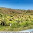  Land for sale in Bolivar, Cartagena, Bolivar