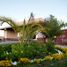  Land for sale in Torreon, Coahuila, Torreon
