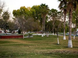  Land for sale in Torreon, Coahuila, Torreon