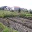  Land for sale in Ubud, Gianyar, Ubud