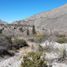  Grundstück zu verkaufen in Arteaga, Coahuila, Arteaga