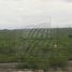  Land for sale in General Bravo, Nuevo Leon, General Bravo