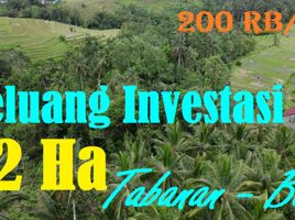  Land for sale in Penebel, Tabanan, Penebel