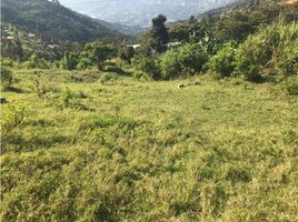  Terreno (Parcela) en venta en Girardota, Antioquia, Girardota