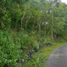  Land for sale in Tepus, Yogyakarta, Tepus, Gunung Kidul