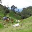 4 Schlafzimmer Villa zu verkaufen in La Vega, Cundinamarca, La Vega