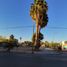  Land for rent in Torreon, Coahuila, Torreon