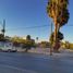  Land for rent in Torreon, Coahuila, Torreon