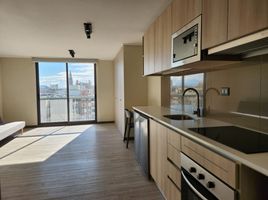 1 Habitación Apartamento en alquiler en Cordillera, Santiago, Puente Alto, Cordillera