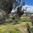  Land for sale in Tunja, Boyaca, Tunja