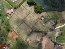  Terreno (Parcela) en venta en El Carmen, Norte De Santander, El Carmen