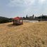  Terreno (Parcela) en venta en Totolapan, Morelos, Totolapan