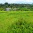  Land for sale in Kerambitan, Tabanan, Kerambitan