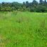  Land for sale in Kerambitan, Tabanan, Kerambitan