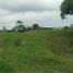  Land for sale in Santo Domingo De Los Colorados, Santo Domingo De Los Tsachilas, Santo Domingo De Los Colorados, Santo Domingo, Santo Domingo De Los Tsachilas