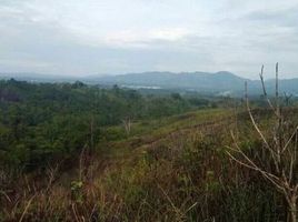  Land for sale in Bukidnon, Northern Mindanao, Baungon, Bukidnon