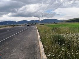  Grundstück zu verkaufen in Zapotlan De Juarez, Hidalgo, Zapotlan De Juarez, Hidalgo