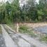  Land for sale in Sedayu, Bantul, Sedayu