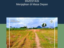  Land for sale in Jenggawah, Jember, Jenggawah