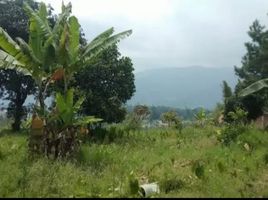  Tanah for sale in Cisarua, West Jawa, Cisarua