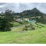  Land for sale in La Ceja, Antioquia, La Ceja