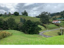  Land for sale in La Ceja, Antioquia, La Ceja