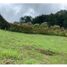  Land for sale in La Ceja, Antioquia, La Ceja