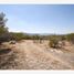 Land for sale in Lagos De Moreno, Jalisco, Lagos De Moreno