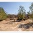  Land for sale in Lagos De Moreno, Jalisco, Lagos De Moreno