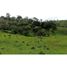 Studio Apartment for sale in Gomez Plata, Antioquia, Gomez Plata