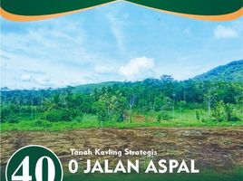  Land for sale in Pakisaji, Malang Regency, Pakisaji