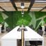 35 m² Office for rent in Azcapotzalco, Mexico City, Azcapotzalco